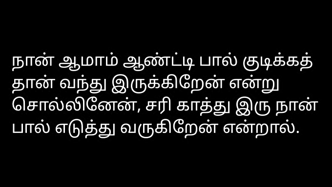 Tamil-Taal Audio Opname Van De Vrouw Van Een Buurman In Een Seksuele Ontmoeting