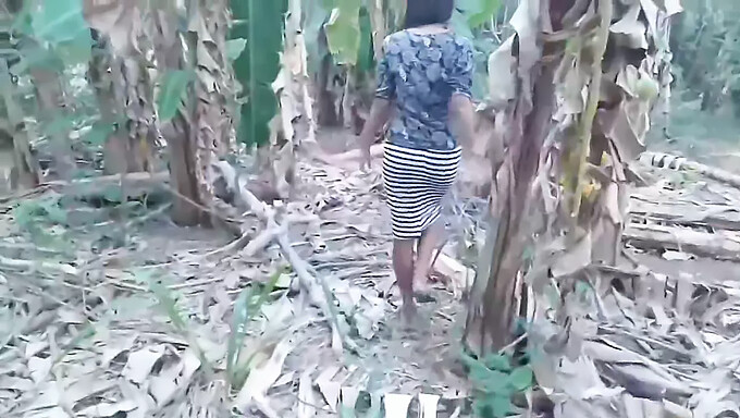 Sensual Juego En Solitario De Una Chica Desi En El Bosque