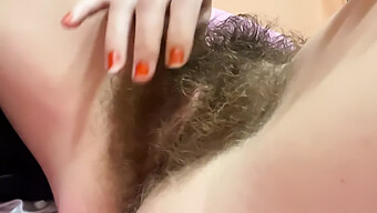 Hairy Whit...