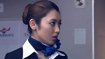 Stewardess...